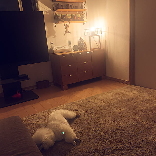 BUNさんの実例写真