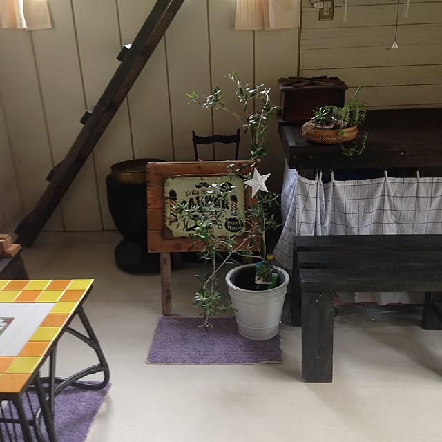 玄関/入り口/観葉植物/DIYのインテリア実例 - 2016-05-25 10:11:48