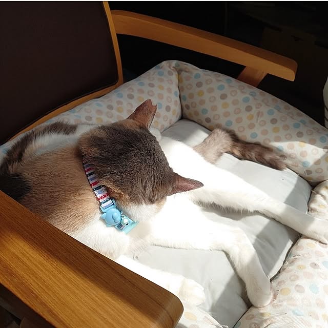 fukuさんの部屋