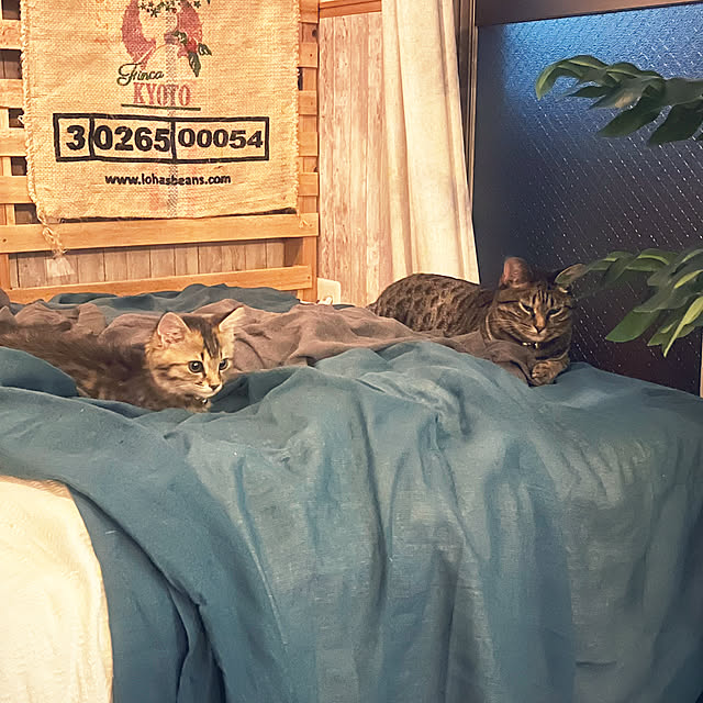 Mさんの実例写真