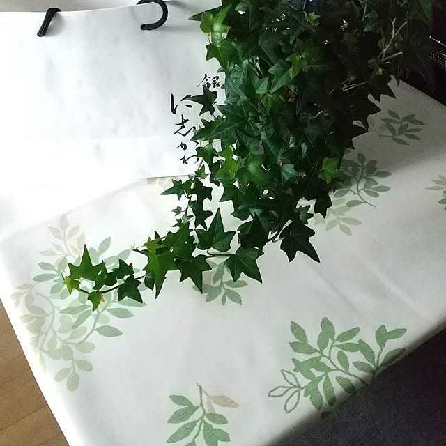 noaさんの実例写真