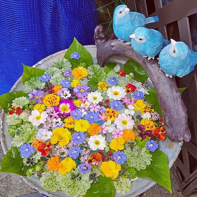 mocomocoさんの実例写真