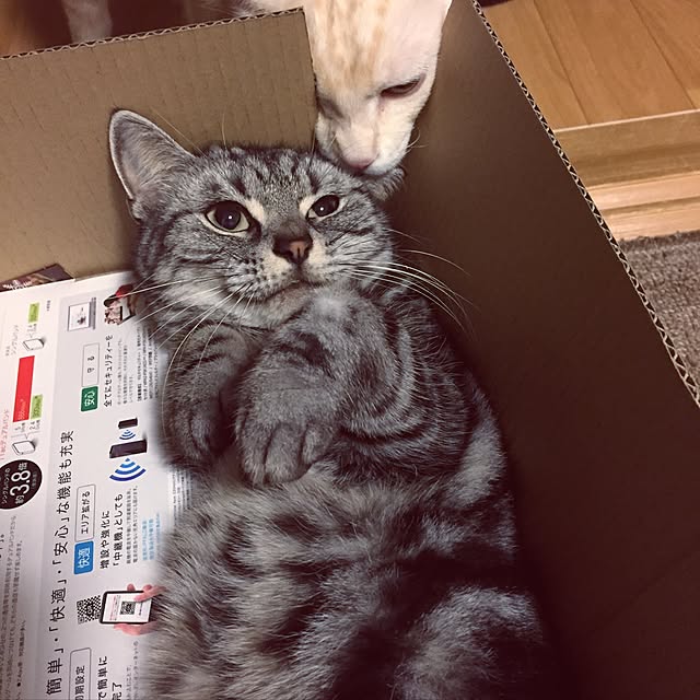 hiyupan88さんの実例写真