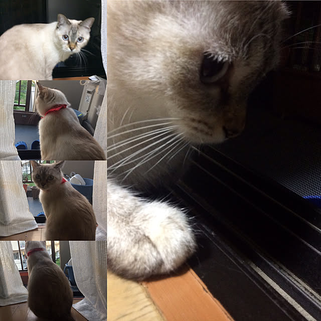 nachuさんの実例写真