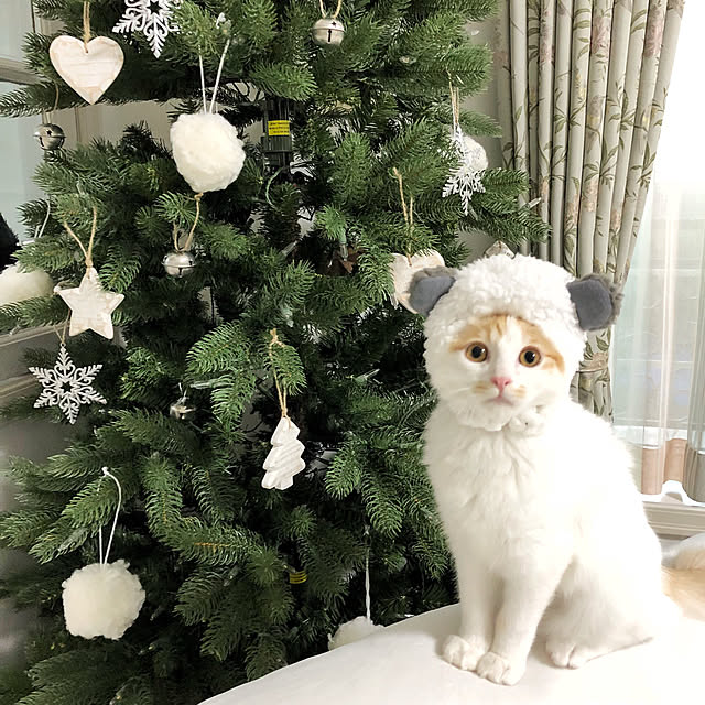 yuchiさんの実例写真
