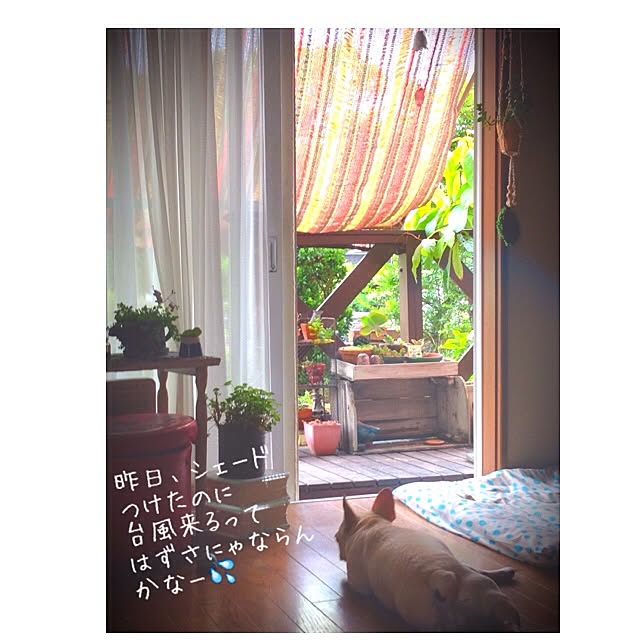 38coreさんの実例写真