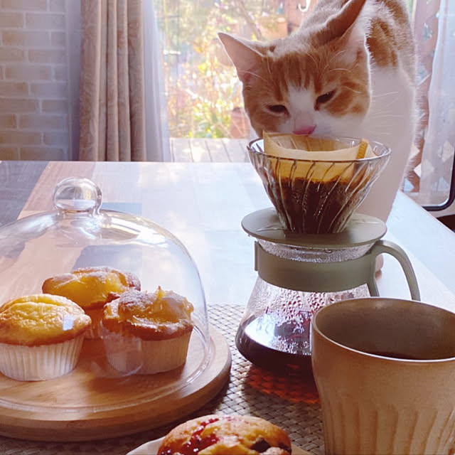 mintteaさんの実例写真