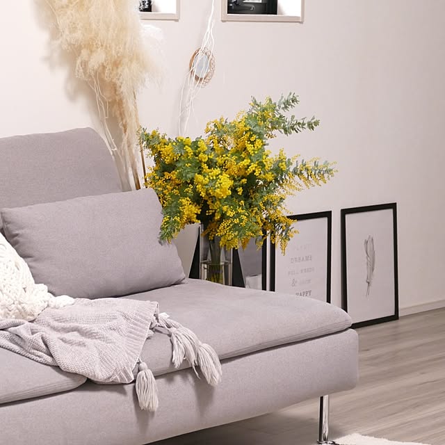 ya_maさんの実例写真