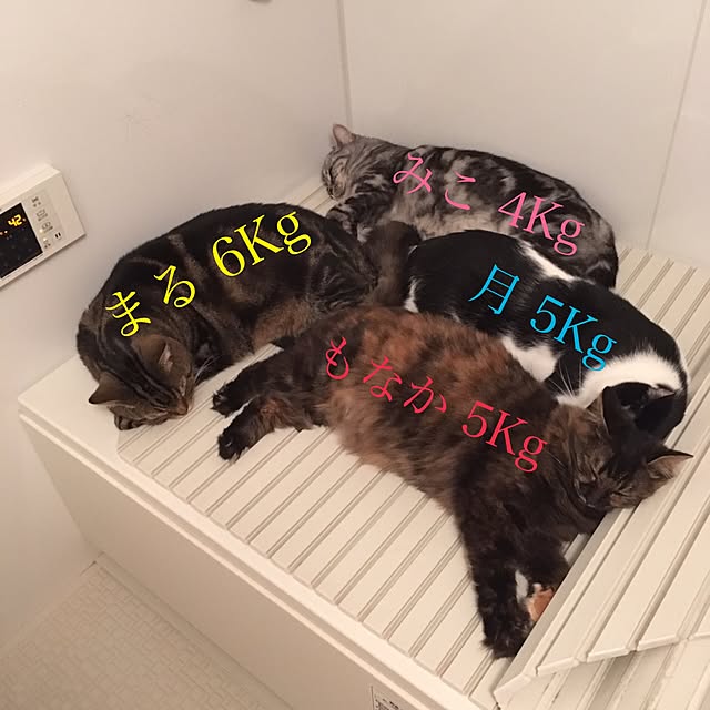 mikomaruさんの実例写真