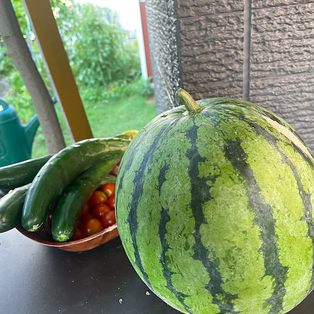 Kuronecoさんの部屋