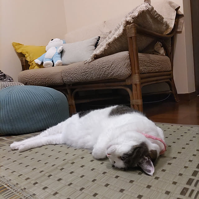 yuuさんの実例写真