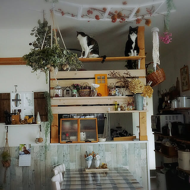 Gomaさんの実例写真