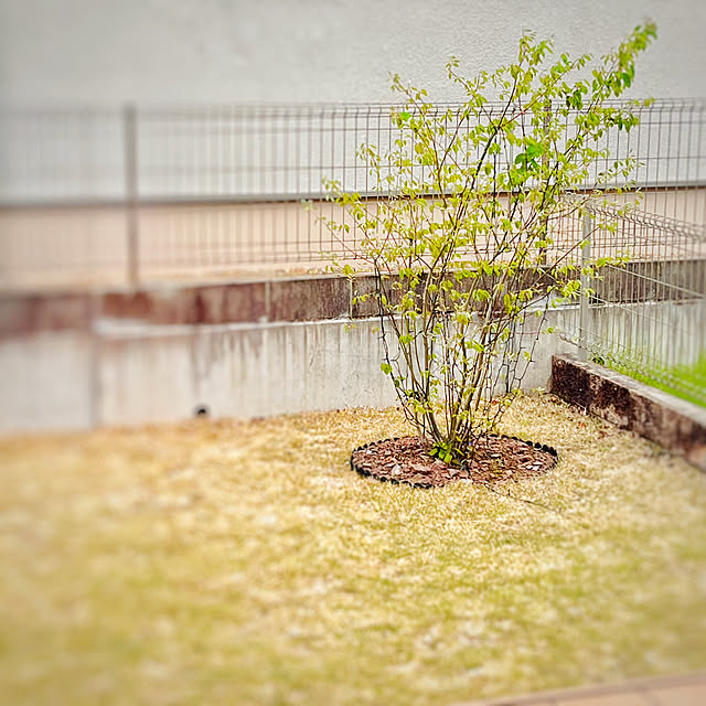mikigumaさんの部屋