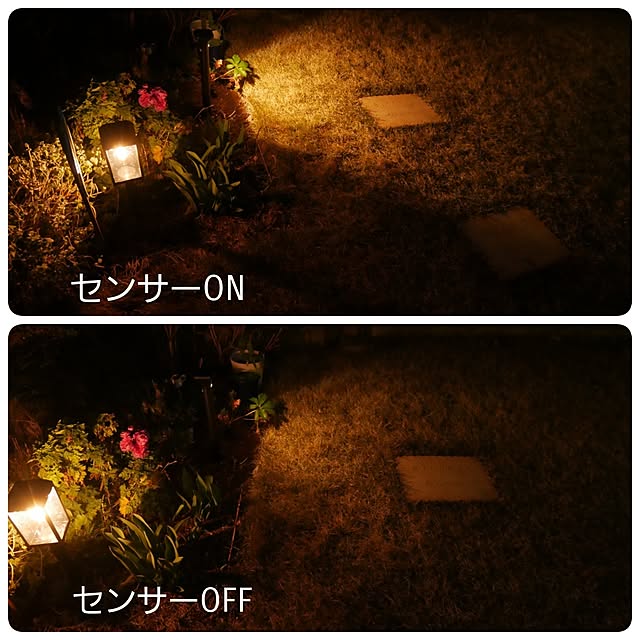 merciさんの部屋
