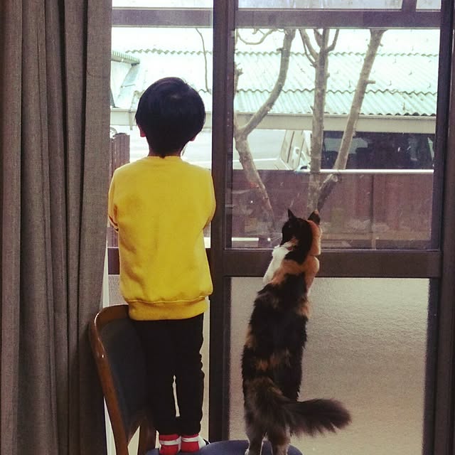 kiyohima229さんの実例写真