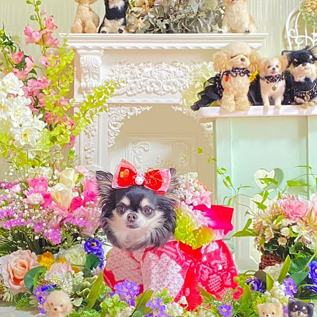 shabbycottage_saoriさんの実例写真