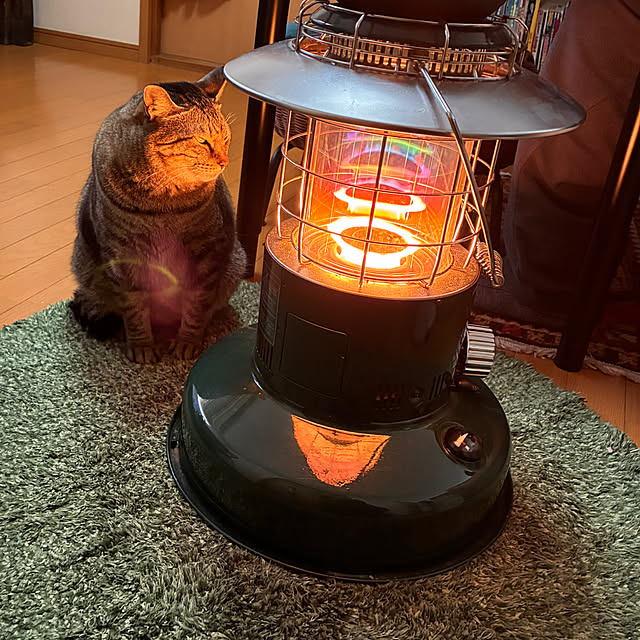 mikan161さんの実例写真