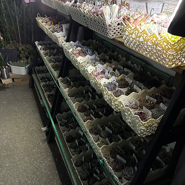 Rinkitさんの実例写真