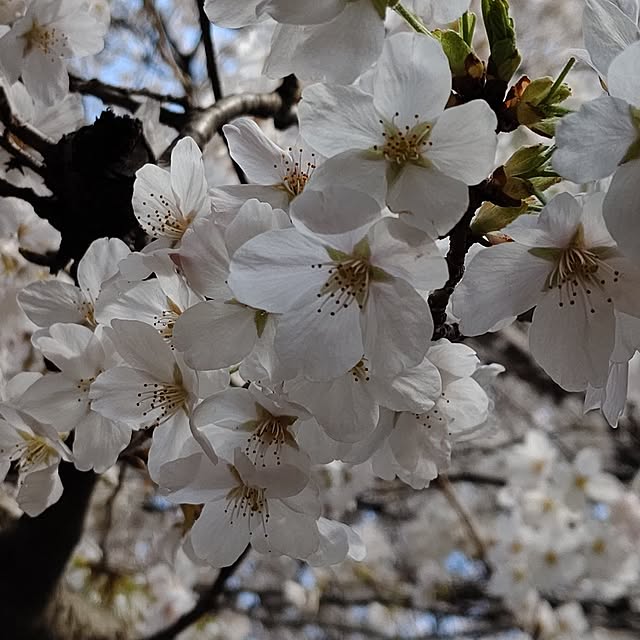 yumirinさんの部屋
