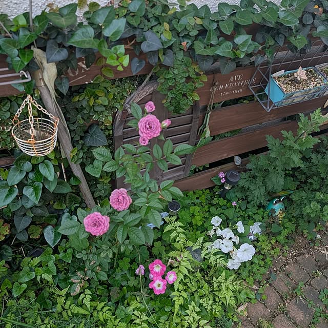 naoporonさんの部屋