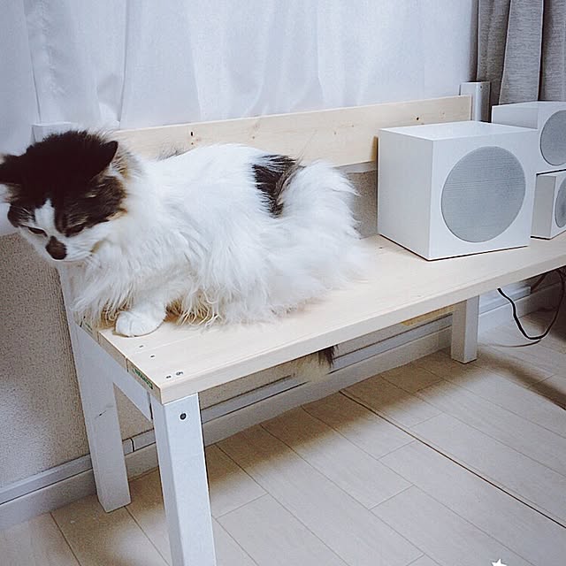 mikaさんの実例写真