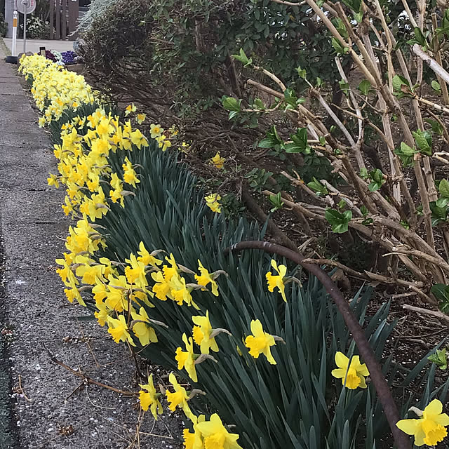 houenさんの部屋