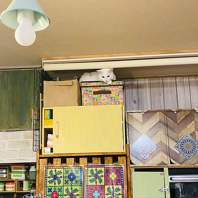 SHIHOさんの実例写真