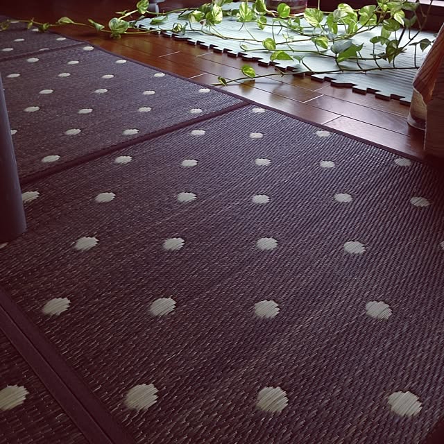 Azusaさんの実例写真