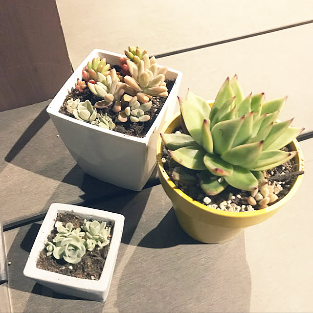 green8さんの実例写真