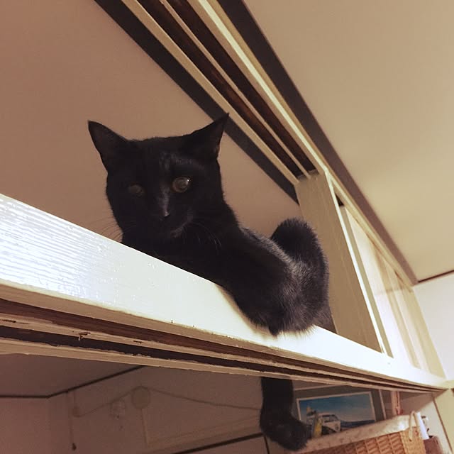 Beeさんの実例写真