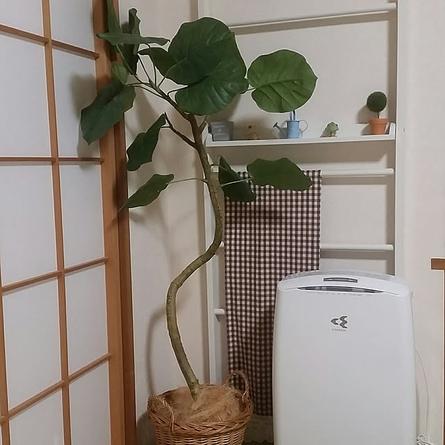 bassさんの実例写真