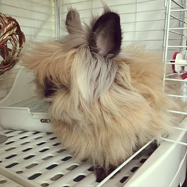 mさんの実例写真
