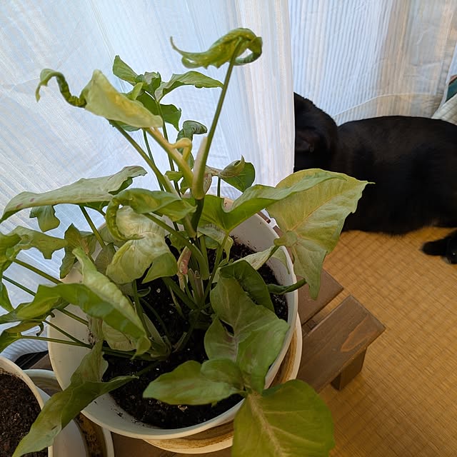 asaさんの部屋