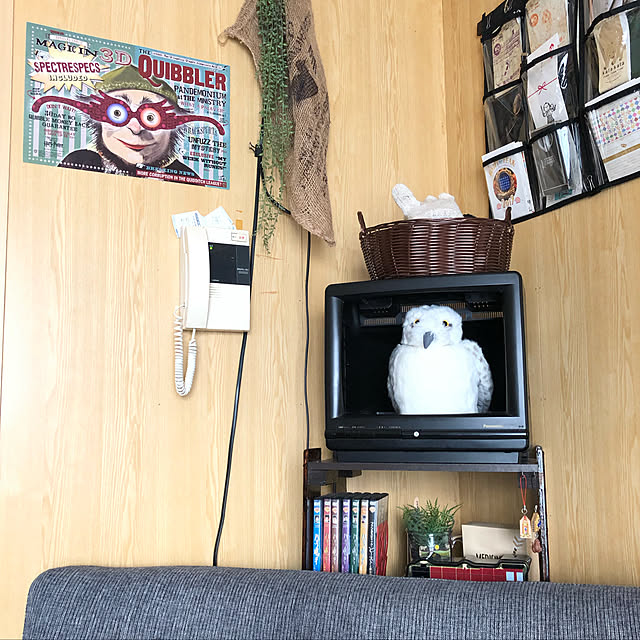 maiyokoyamaさんの実例写真