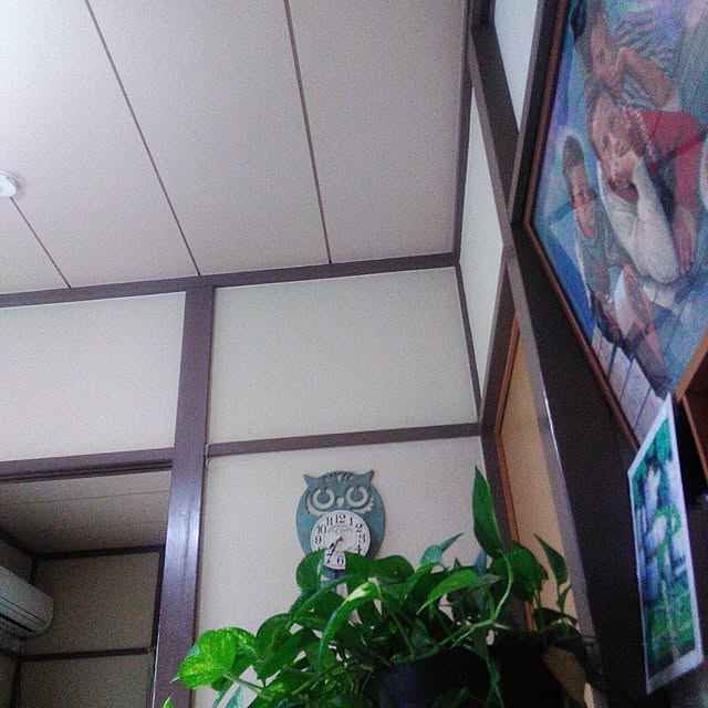 qpieさんの実例写真