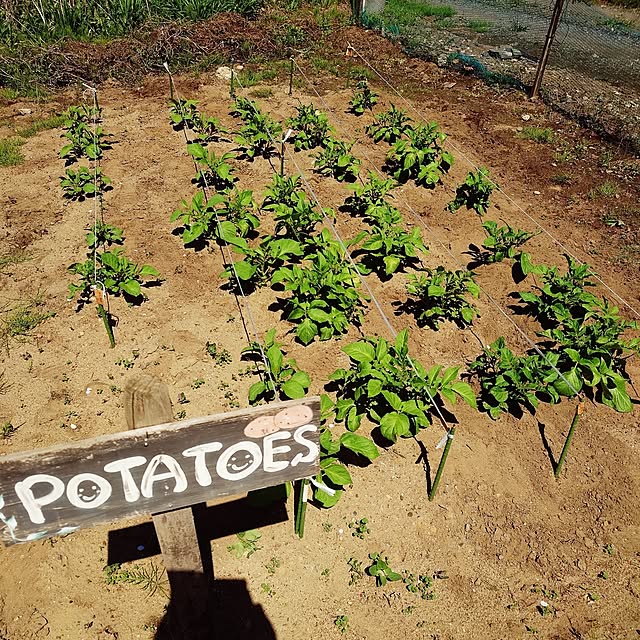 KOMARIN358さんの実例写真