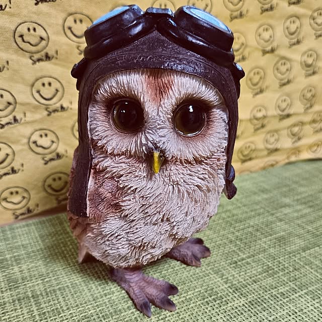 mocomocoさんの実例写真