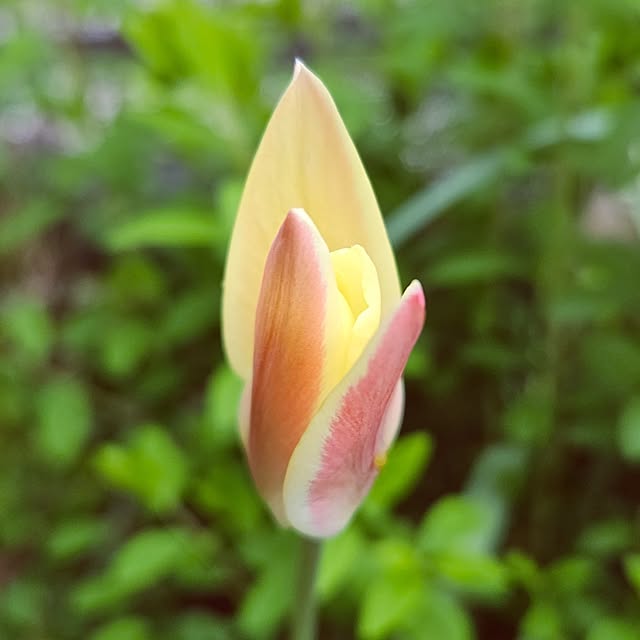 mocomocoさんの部屋