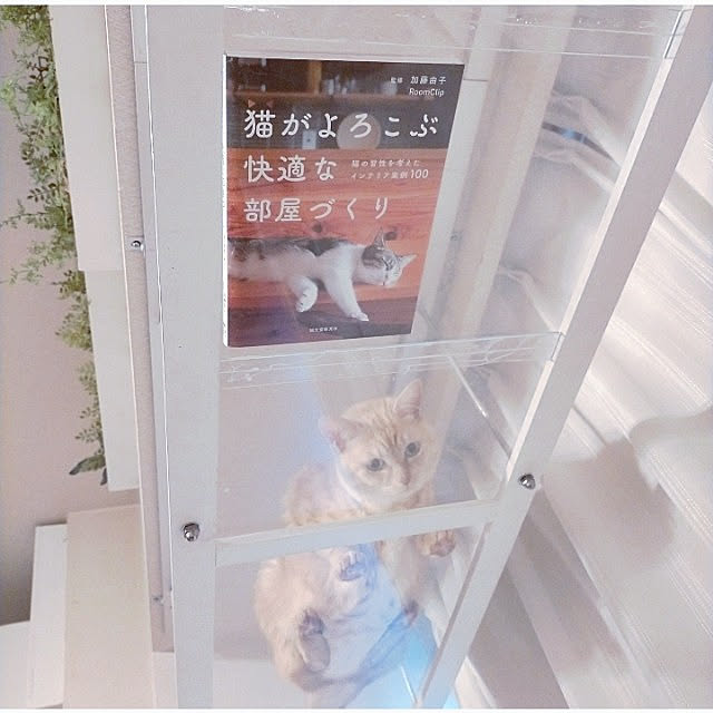 heart.emiemi57.whiteさんの実例写真