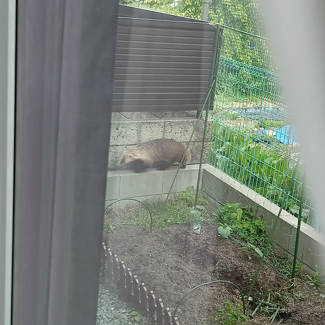 sansanさんの実例写真