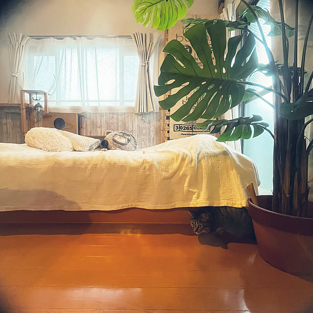 Mさんの部屋