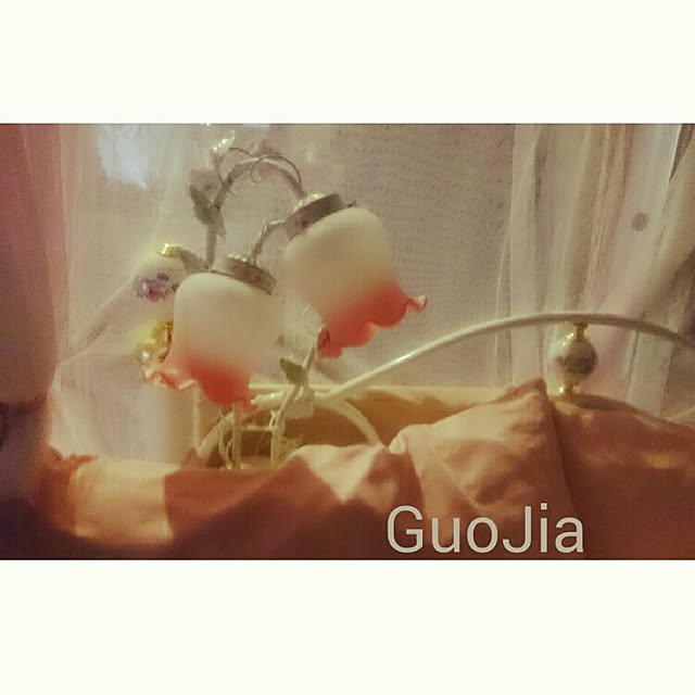 Guo.Jiaさんの実例写真