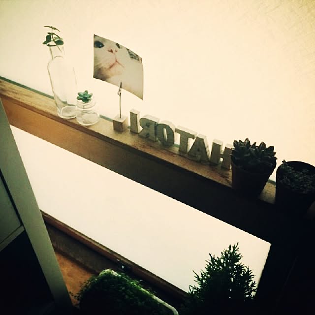 BIRDさんの実例写真