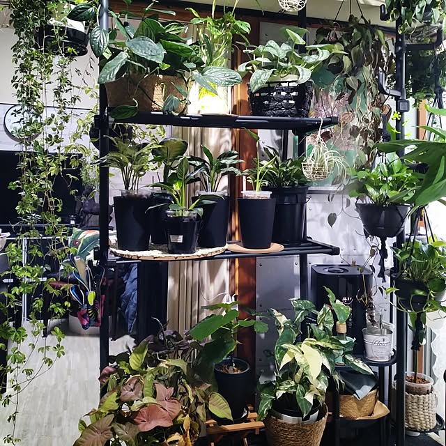 runaさんの部屋