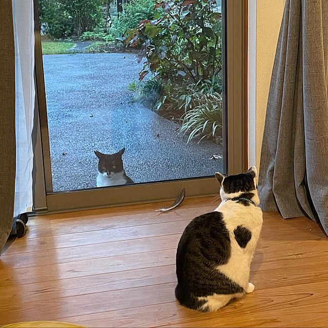 eioさんの実例写真