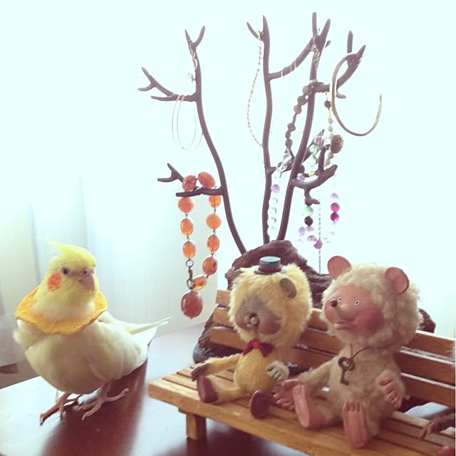 watabowさんの実例写真
