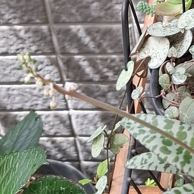 noaさんの部屋