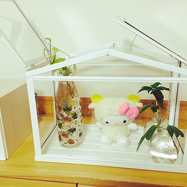yumehanaさんの実例写真
