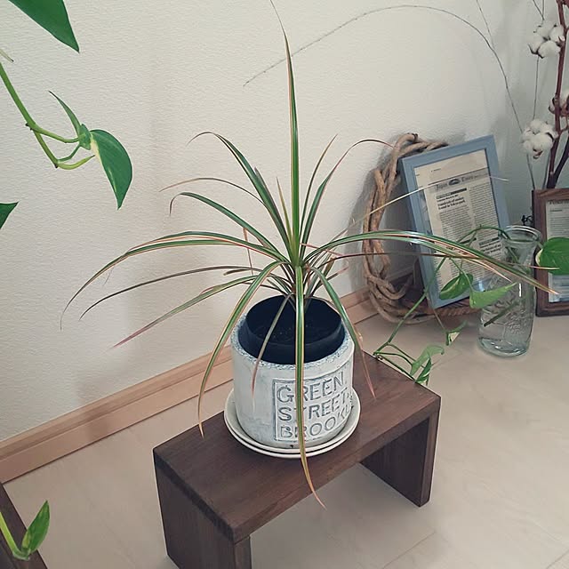 KOHAKUさんの部屋