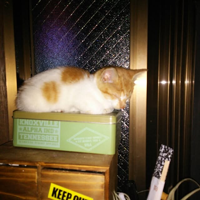 kamechanさんの実例写真